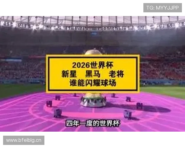 世界杯D组黑马球队新星盘点